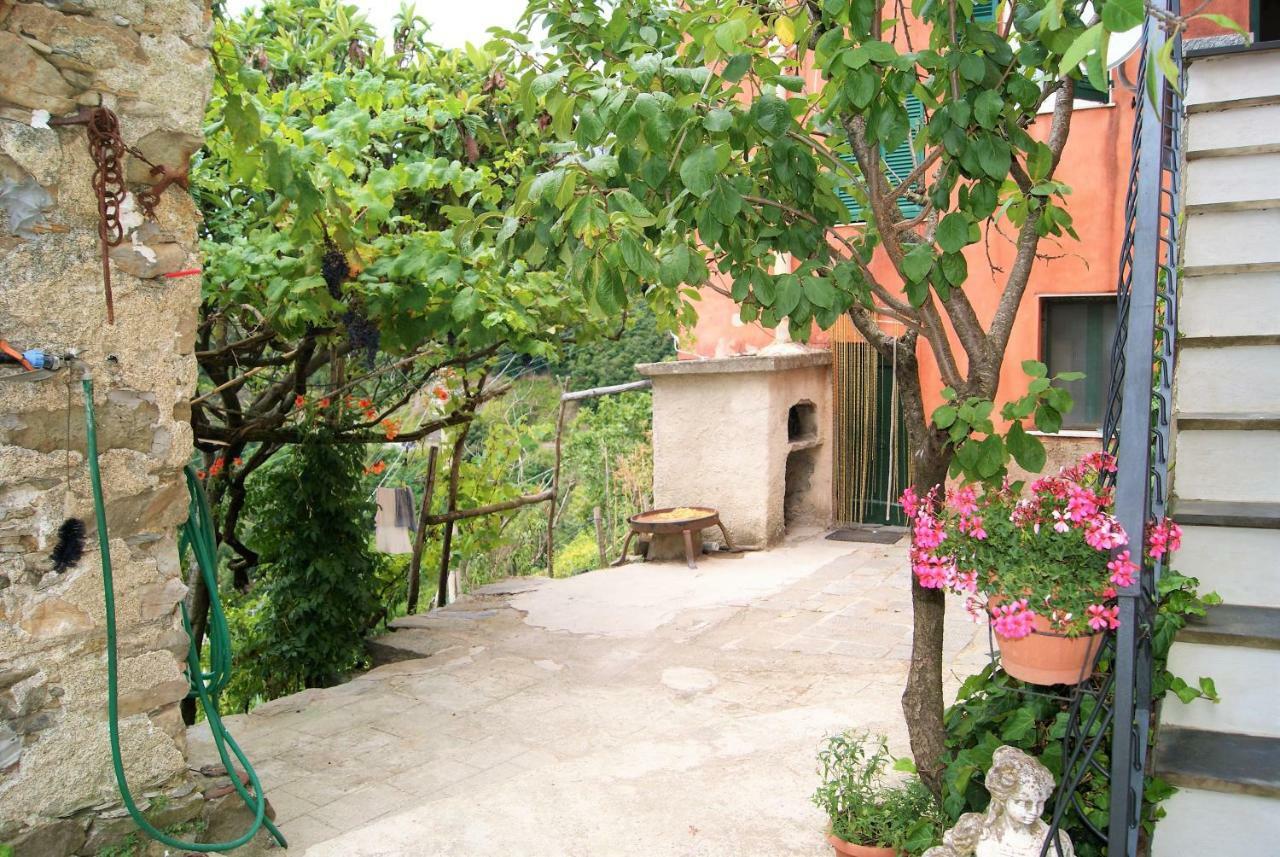 Chez Il Pino Vernazza Vista Mare 外观 照片